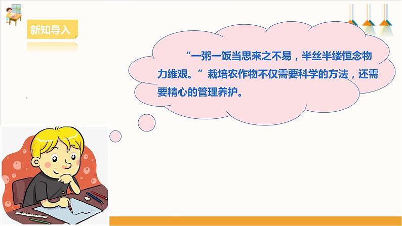 【核心素养浙教版】八下劳技 项目二任务一《家乡农作物种植》课件+教案03