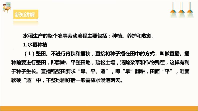 【核心素养浙教版】八下劳技 项目二任务一《家乡农作物种植》课件+教案08