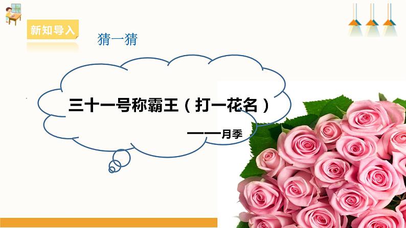 浙教版七下项目二任务三《花卉的扦插繁殖》课件03