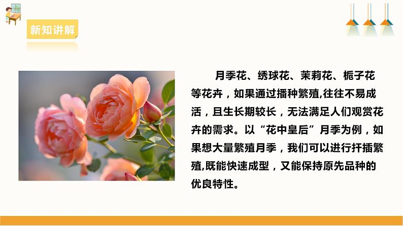 浙教版七下项目二任务三《花卉的扦插繁殖》课件06