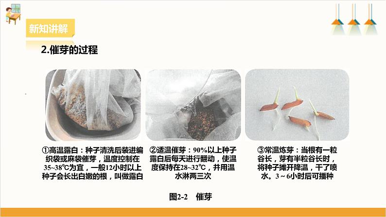 浙教版劳动八下项目二任务一《家乡农作物种植》课件07