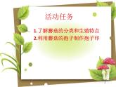 鲁教版初中劳动技术 孢子画制作课件