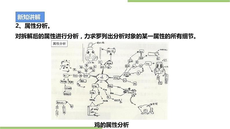 浙教版九年级第一单元第二课《仿生设计我能行》课件08