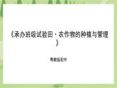 粤教版劳技初中第二单元第一课《承办班级试验田·农作物的种植与管理》课件