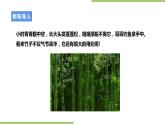 粤教版劳技初中第五单元第三课《编扎竹球·信宜竹编》课件