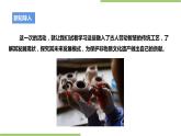 粤教版劳技初中第五单元第四课实践活动《探访“非遗”之路》课件