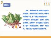 【核心素养目标】人教版七下劳技  项目二《包粽子》课件+教案