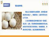【核心素养目标】人教版七下劳技  项目三《学做馒头》课件+教案+素材