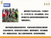 【核心素养目标】人教版七下劳技  项目八《栽种小树》课件+教案