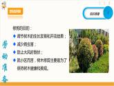 【核心素养目标】人教版八上劳技  项目八《修剪绿植》课件＋教案+素材