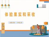 【核心素养目标】人教版八上劳技  项目九《体验果实采收》课件＋教案+素材