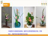 【核心素养目标】人教版七上劳技  项目二《插花》课件＋教案+素材