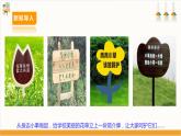 【核心素养目标】人教版七上劳技  项目八《制作花草牌》课件＋教案+素材