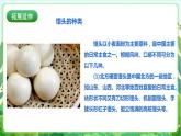 【核心素养目标】人教版劳动教育七下 劳动项目三《学做馒头》课件+教案+素材