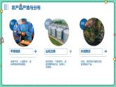 浙教版八年级下册劳动技术 项目二 任务二《家乡农产品加工》课件