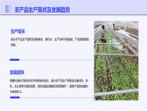 浙教版八年级下册劳动技术 项目二 任务三《家乡农产品销售》课件