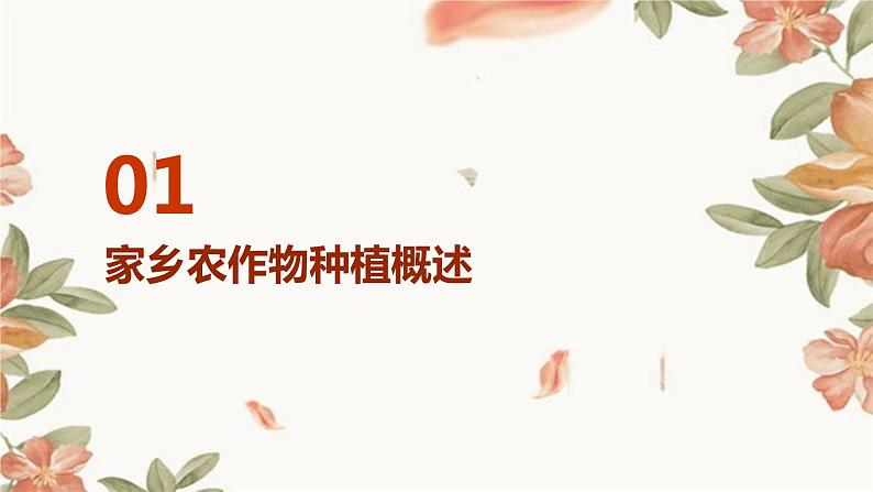 浙教版八年级下册劳动技术 项目二 任务一《家乡农作物种植》课件第3页