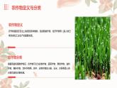 浙教版八年级下册劳动技术 项目二 任务一《家乡农作物种植》课件