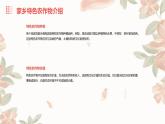 浙教版八年级下册劳动技术 项目二 任务一《家乡农作物种植》课件