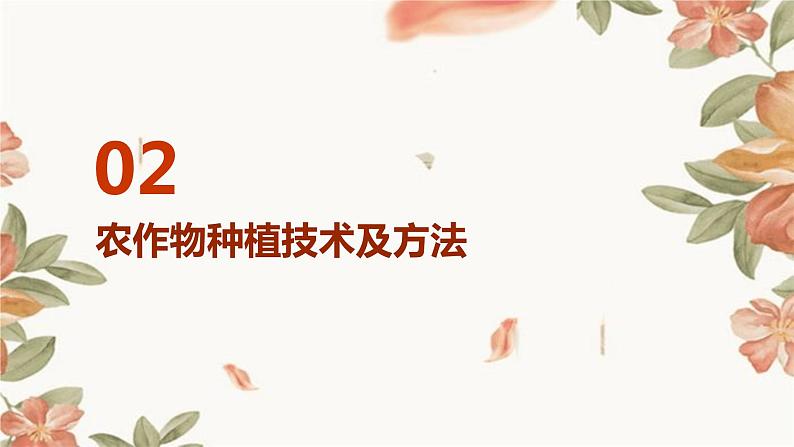 浙教版八年级下册劳动技术 项目二 任务一《家乡农作物种植》课件第7页