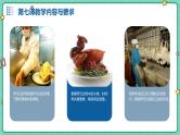 湘教版初中全一册劳动技术 第二单元 食品与烹饪 第七课 烹任白切鸡 课件