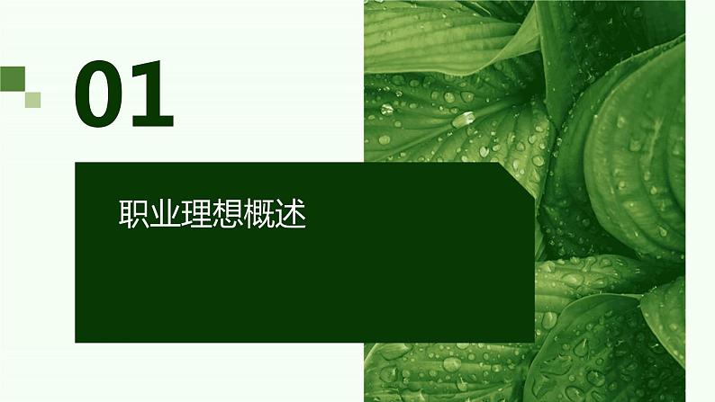 浙教版八年级下册劳动技术 项目四 任务三 职业理想我规划 课件第3页