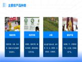 浙教版八年级下册劳动技术 项目二 任务二《家乡农产品加工》 课件