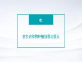 浙教版八年级下册劳动技术 项目二 任务一《家乡农作物种植》课件