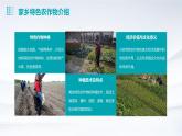 浙教版八年级下册劳动技术 项目二 任务一《家乡农作物种植》课件