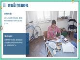 浙教版九年级下册劳动技术 项目一 任务二《仿生设计我能行》课件