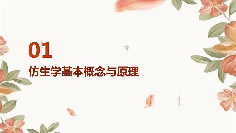 浙教版九年级下册劳动技术 项目一 任务三《仿生设计制作与优化》课件03