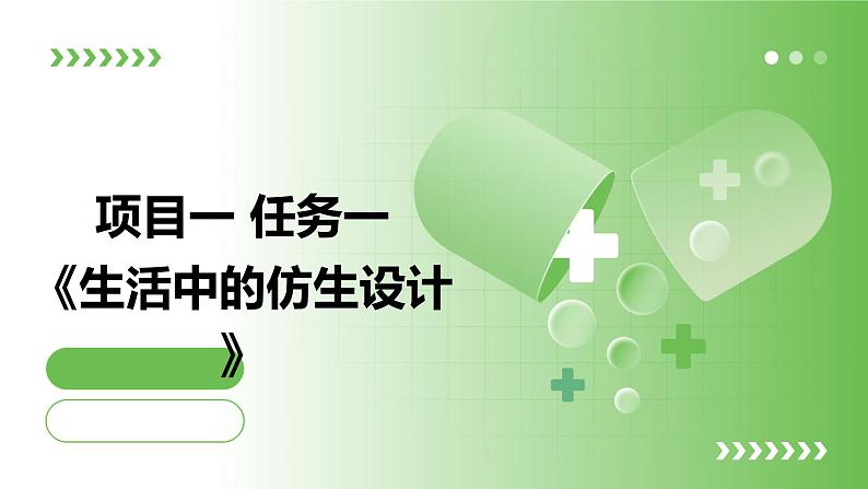 浙教版九年级下册劳动技术 项目一 任务一《生活中的仿生设计》课件第1页