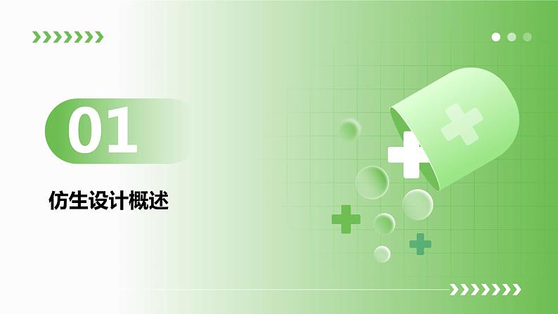 浙教版九年级下册劳动技术 项目一 任务一《生活中的仿生设计》课件第3页