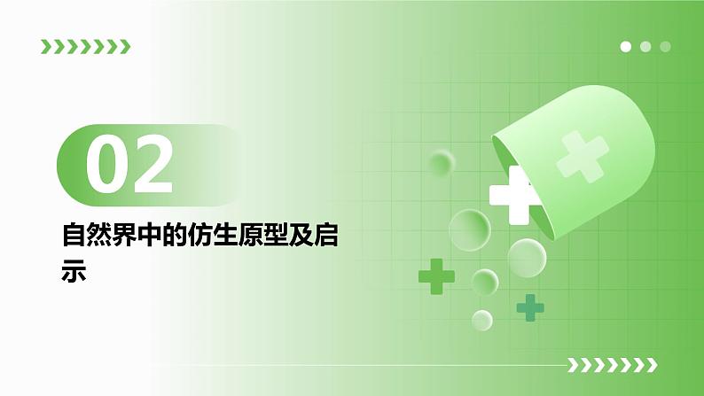 浙教版九年级下册劳动技术 项目一 任务一《生活中的仿生设计》课件第7页