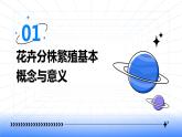 浙教版七年级下册劳动技术 项目二 任务二《花卉的分株繁殖》课件