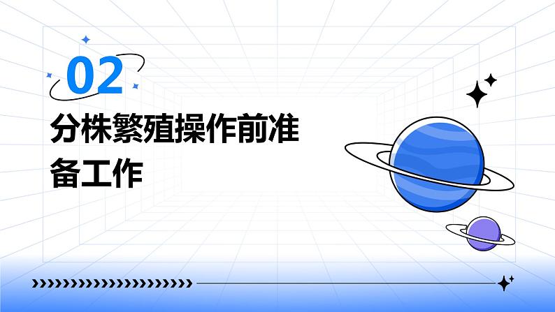 浙教版七年级下册劳动技术 项目二 任务二《花卉的分株繁殖》课件08