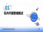 浙教版七年级下册劳动技术 项目二 任务三《花卉的扦插繁殖》课件