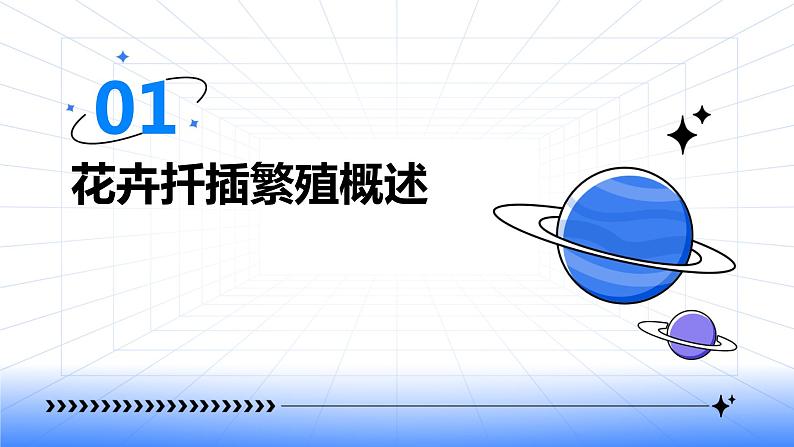 浙教版七年级下册劳动技术 项目二 任务三《花卉的扦插繁殖》课件第3页