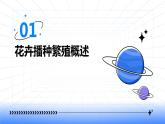 浙教版七年级下册劳动技术 项目二 任务一《花卉的播种繁殖》课件