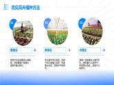 浙教版七年级下册劳动技术 项目二 任务一《花卉的播种繁殖》课件