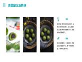 浙教版七年级下册劳动技术 项目一 任务二《学做青团》课件