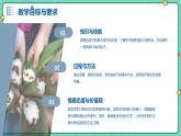 浙教版七年级下册劳动技术 项目一 任务三《学包粽子》课件
