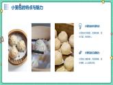 浙教版七年级下册劳动技术 项目一 任务一《学做小笼包》课件