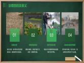 广州版八年级下册劳动技术 主题四：河涌治理现绿水（课件）