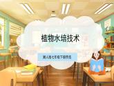 【核心素养目标】湘人版七下劳技   任务三 项目二《植物水培技术》课件+教案+素材
