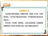 【核心素养目标】湘人版七下劳技   任务三 项目二《植物水培技术》课件+教案+素材