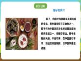 浙教版七下劳动 项目一任务三《学包粽子》课件+教案