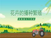 浙教版七下劳动 项目二任务一《花卉的播种繁殖》课件+教案