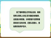 浙教版七下劳动 项目二任务二《花卉的分株繁殖》课件+教案