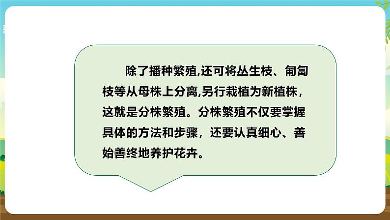 浙教版七下劳动 项目二任务二《花卉的分株繁殖》课件第4页